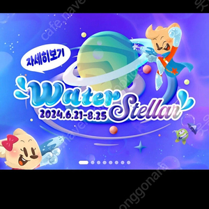 에버랜드 자유이용권 8/25일 일요일