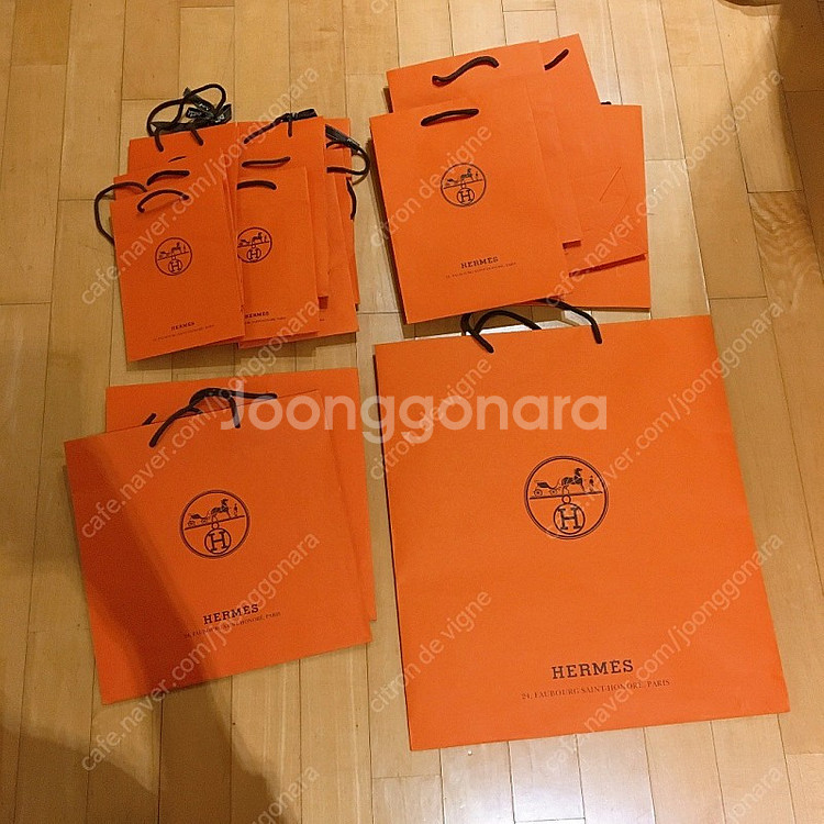 정품 샤넬 부티크 까멜리아 쇼핑백 에르메스, 루이비통 ...--3