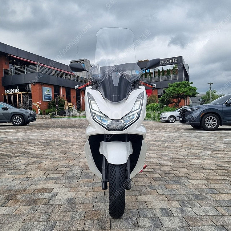 [점검완료]혼다 PCX125 22년식 화이트 배달대행세...--1