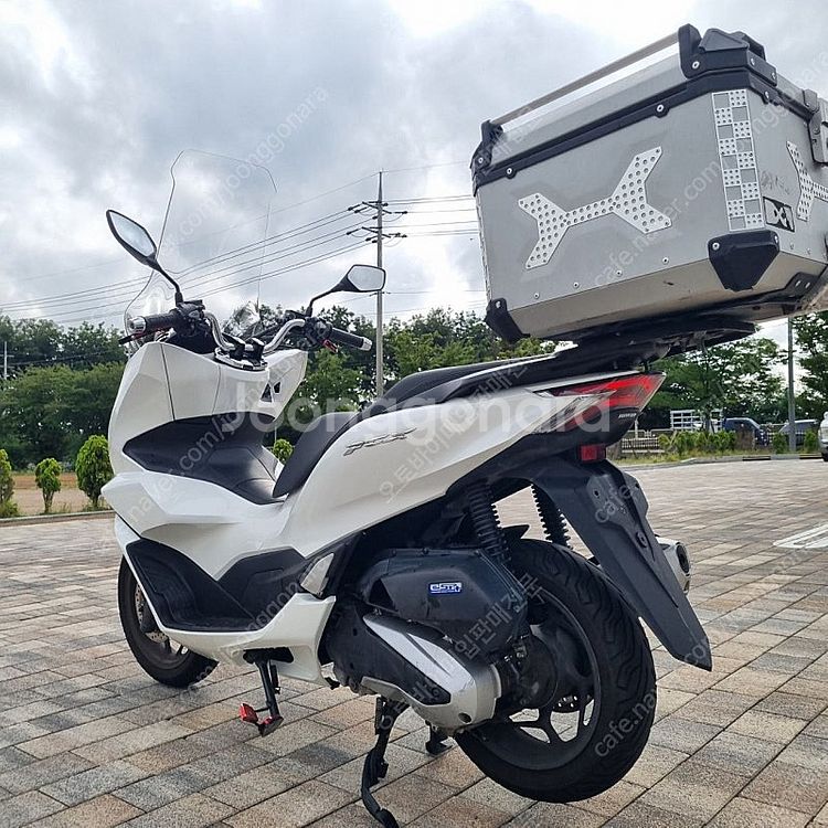 [점검완료]혼다 PCX125 22년식 화이트 배달대행세...--5