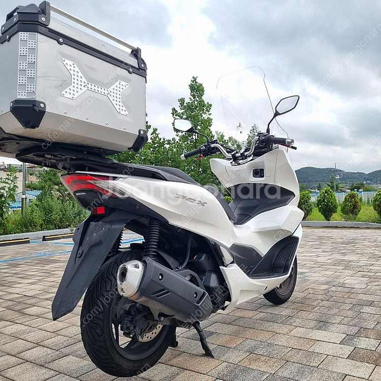 [점검완료]혼다 PCX125 22년식 화이트 배달대행세...--6
