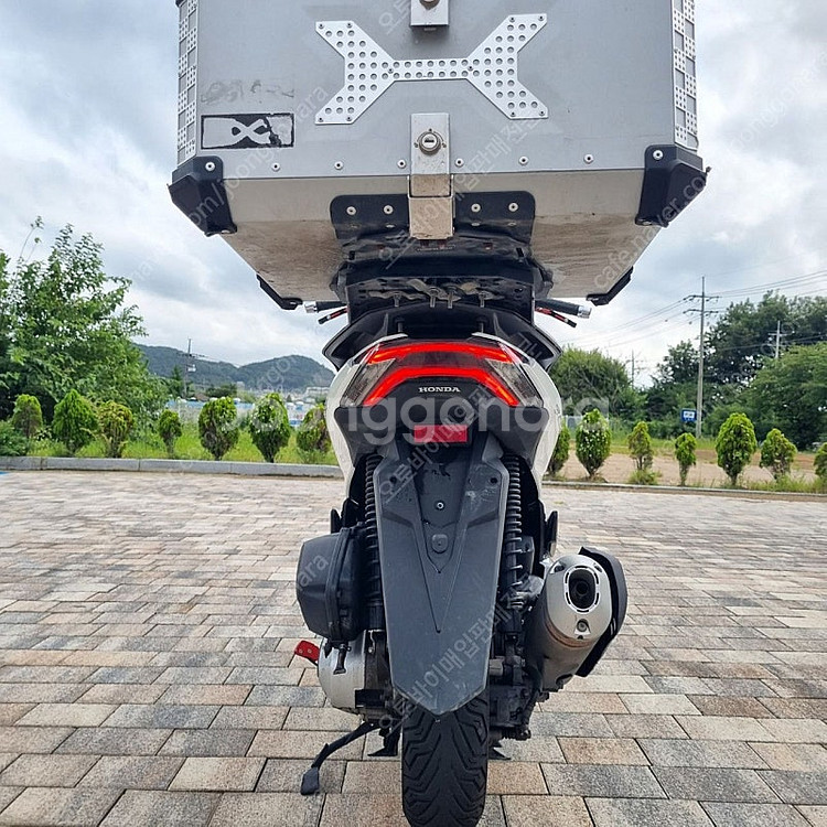 [점검완료]혼다 PCX125 22년식 화이트 배달대행세...--7