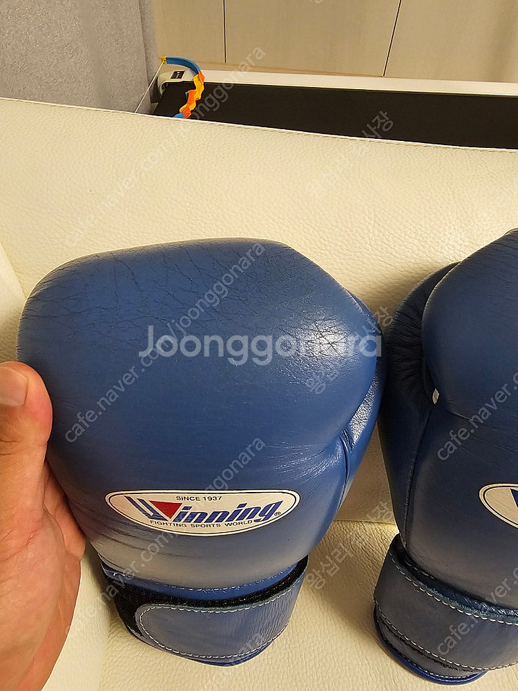 winning 글러브 밸크로12온스 블루--4