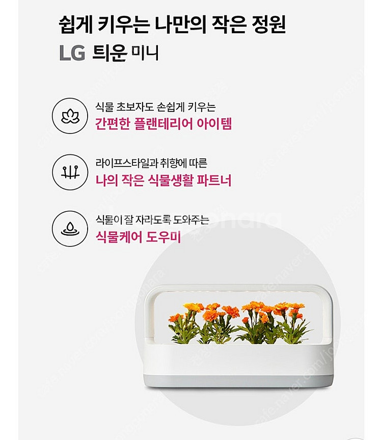 틔운 미니 베이지 미개봉 새상품--1