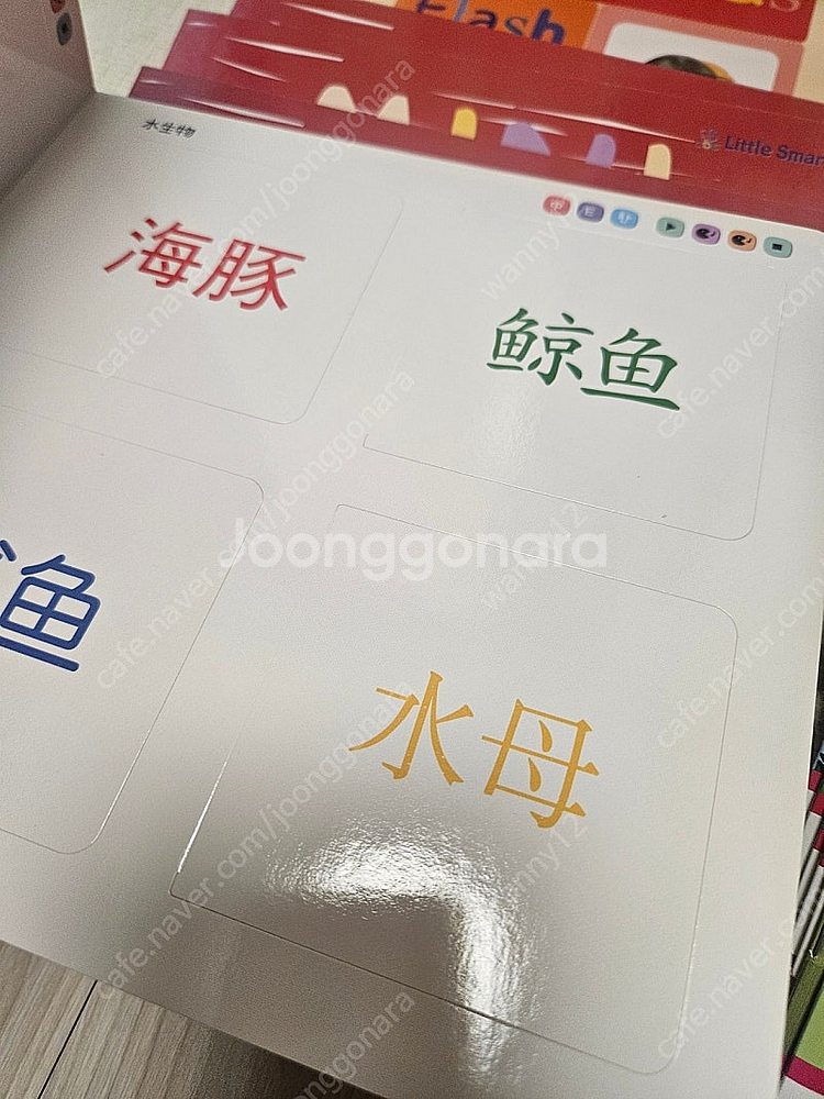 리틀스마티 중국어 스토리북과 플랩북 ( 키즈싱차이니즈5...--1