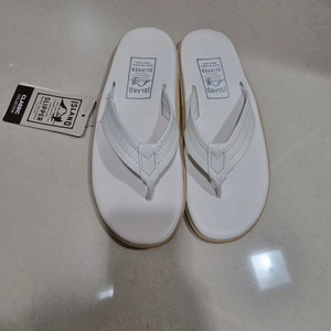 아일랜드슬리퍼