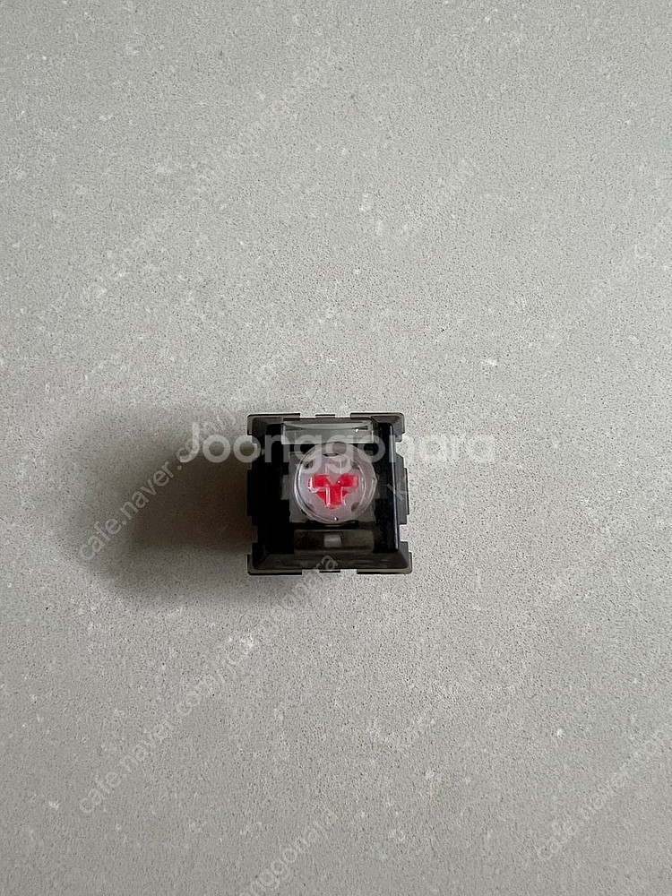 qk65v2 + TTC 거인의 심장 커스텀 키보드--2