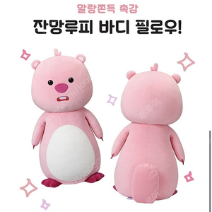 삽니다! 잔망루피 바디필로우 90cm