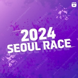 [삽니다] 2024 서울레이스(SEOUL RACE) 하프코스 "배번"만 살게요