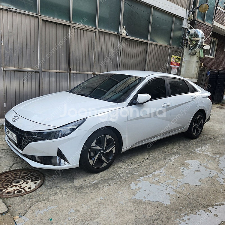 아반떼--1