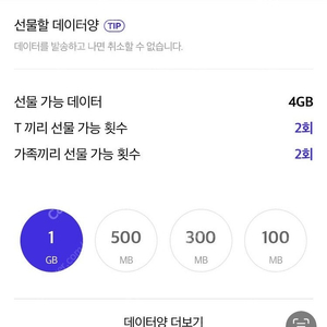 Skt데이터2기가3000