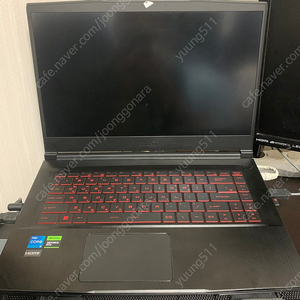 Msi gf63 씬 rtx4050 노트북