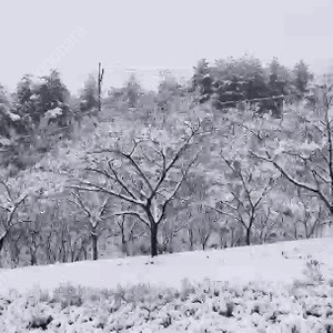 요기요 투썸 1.7 이상 구매시 9000할인