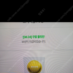 넥슨캐시 5000 팜.