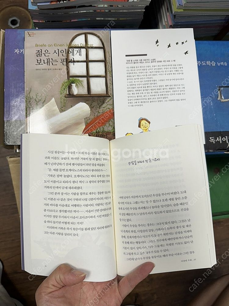 YOUNG ADULT 세계명작 웅진다책 32권 세트 배...--2