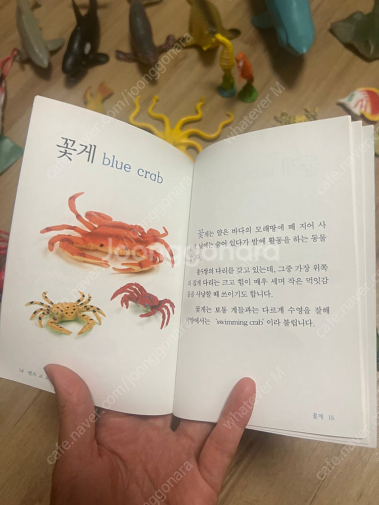 렛츠 고 오션월드 해양 생물 피규어--1