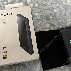 Sony NW-A306 DAP + 정품 케이스 풀박스 팝니다