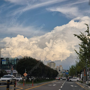 군산 쭈꾸미 낚시 9월2일 아라호 2자리