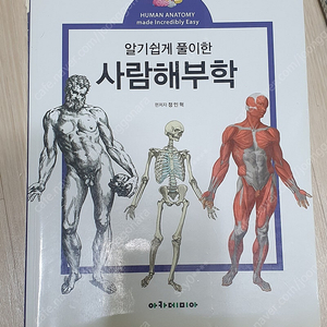 간호미생물학 의학용어 사람해부학 알기쉬운 사람해부학 기초 의학용어 인체 생리학 알기쉬운 의학용어 알기쉬운 인체 생리학