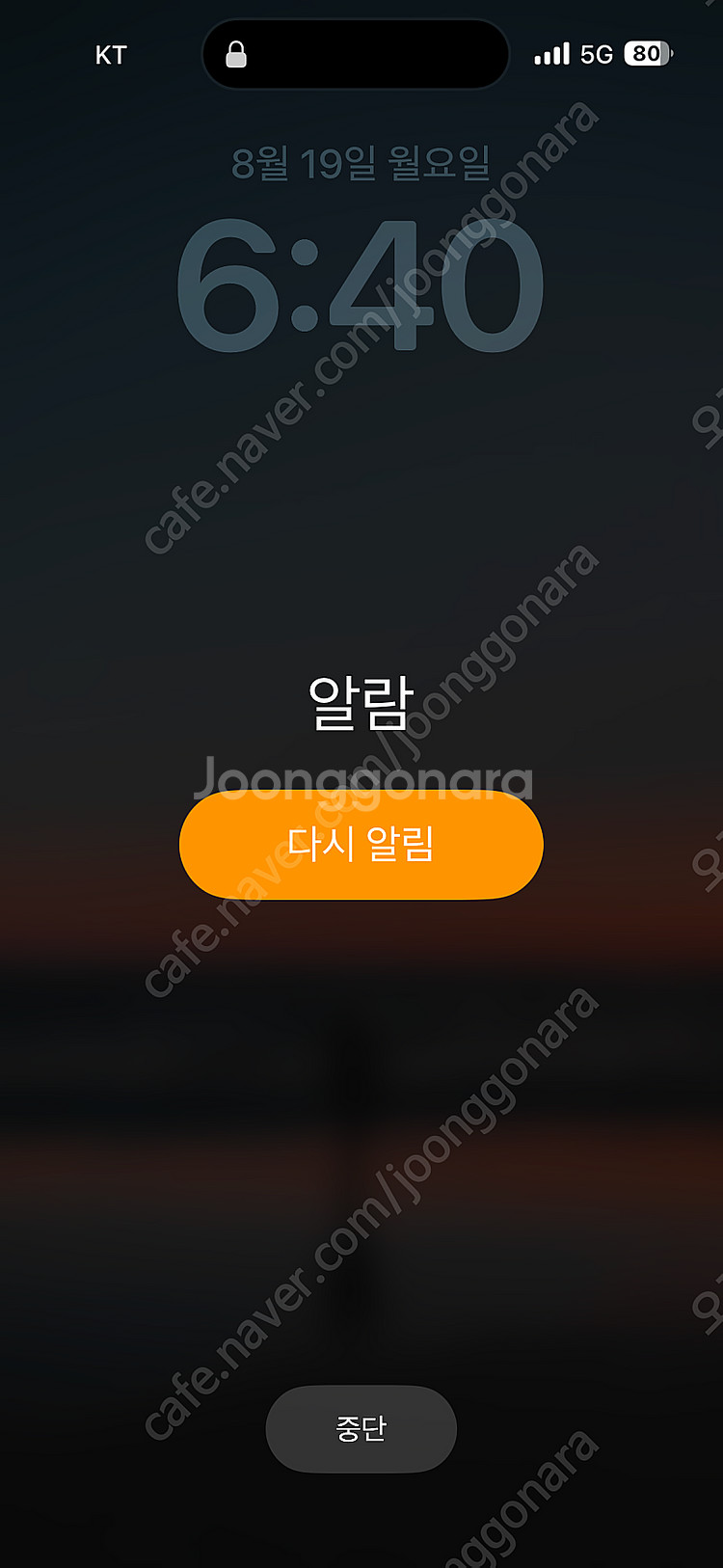 지슈라2 마우스 구매합니다--0