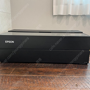 Epson 엡손 sc-p904 프린트