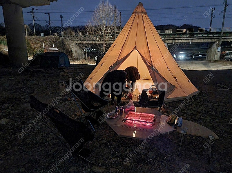 [대전 직거래] 노르디스크 알페임 19.6 + 짚인플로...--0