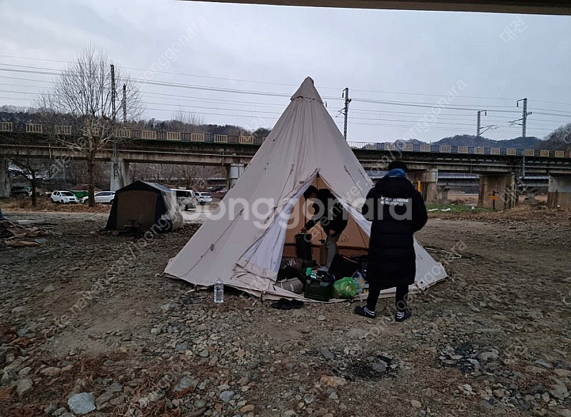 [대전 직거래] 노르디스크 알페임 19.6 + 짚인플로...--7