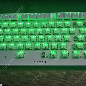 레이저 데스스토커v2 pro tkl, 헌츠맨v3 pro tkl, 바이퍼 v3 pro 판매