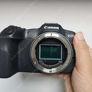 캐논(CANON) R8 바디 판매