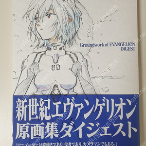 에반게리온 그라운드웍스 아트북
