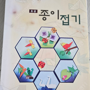 종이접기책 초급