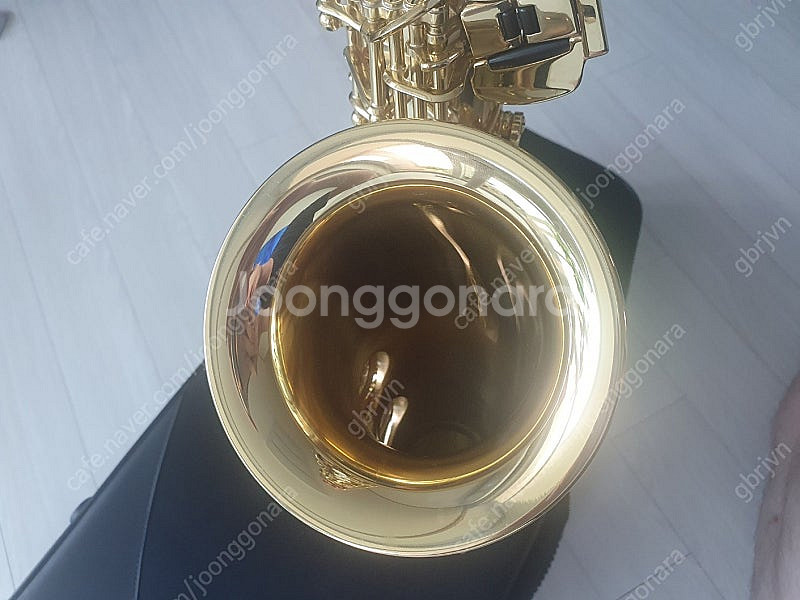 알토색소폰 Selmer Axos 팝니다 (셀마 악소스)--9