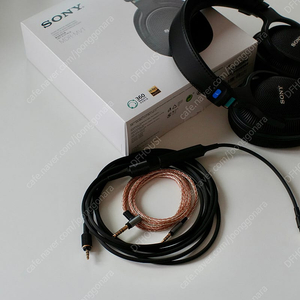 소니 Sony MDR-MV1