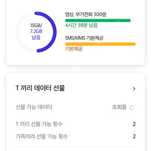 Skt 데이터 2기가 3000