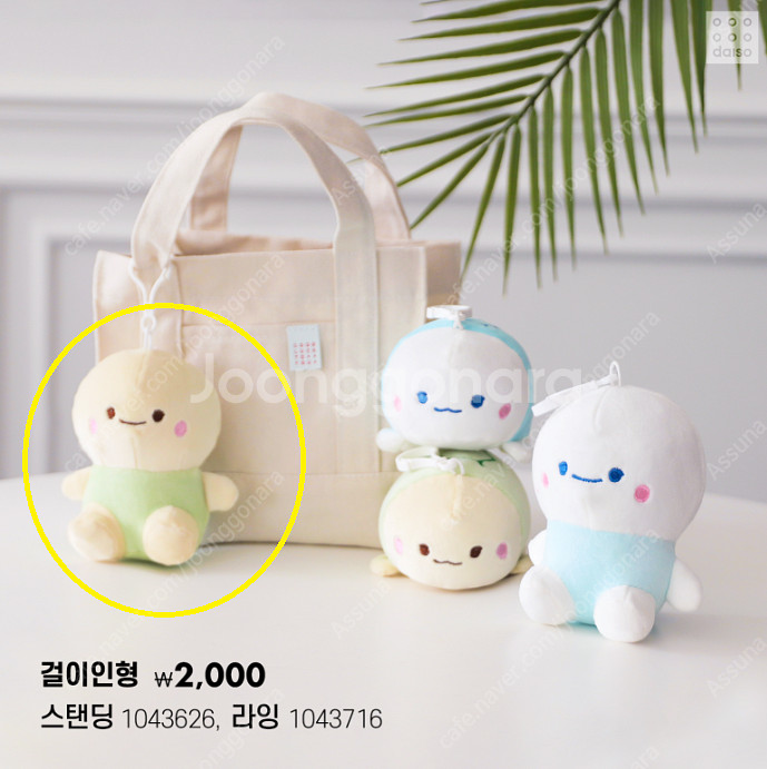 다이소 쿨썸머 거북이 인형 구매--0