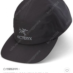 ARC'TERYX GORE 5 PANEL HAT (새상품)