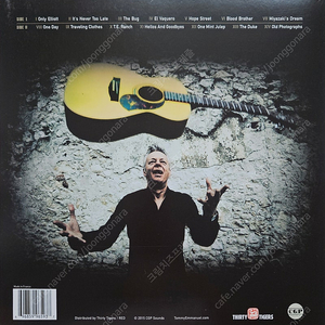 토미 엠마누엘 LP / Tommy Emmanuel - It's Never Too Late (Vinyl LP)