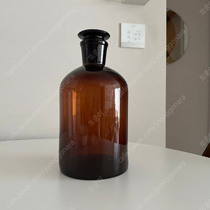 시약병 5L 화병 꽃병 vase