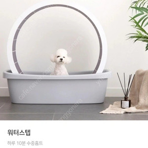 세컨드포우 워터스탭 강아지