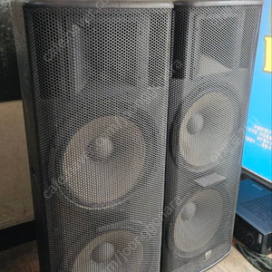 프로용 고출력 PA 스피커 RMS 800W GVX215