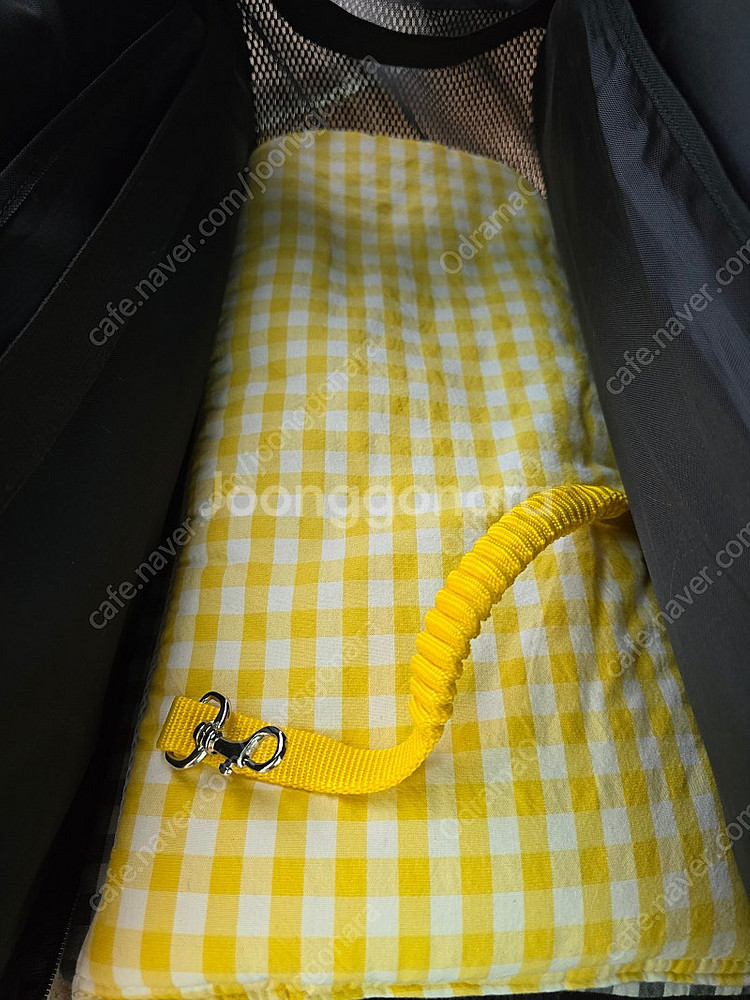 모니드펫 이동가방(XL)--1