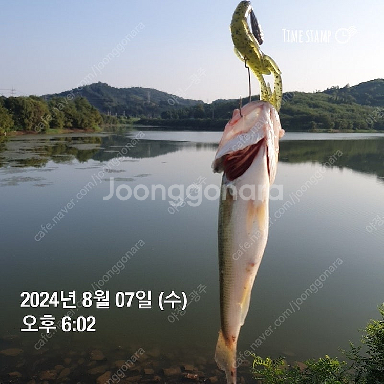 시마노17 바이오 임팩트 160삽니다--0