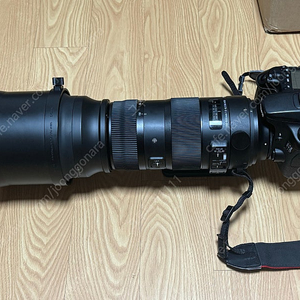 시그마 150-600mm F5-6.3 DG OS HSM 스포츠 (캐논 마운트) 팝니다.