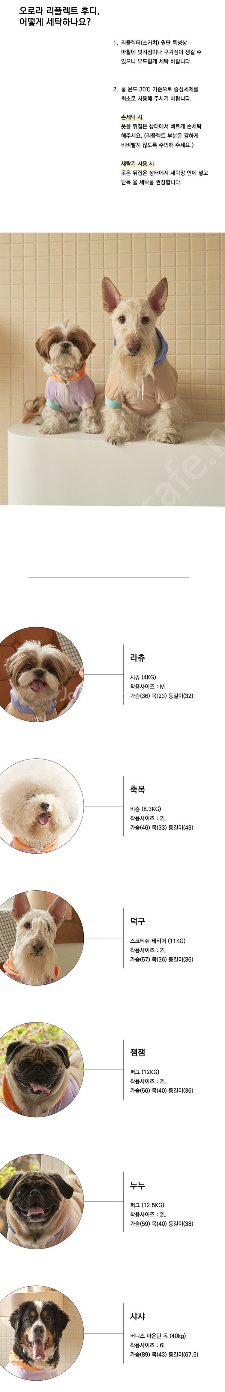 뮤니쿤트 강아지 크롭 후디 - 피치 베이지 2L--8