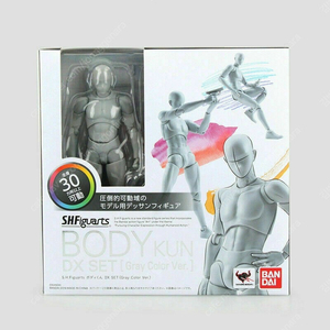 shf 바디쿤(바디군)그레이컬러 삽니다