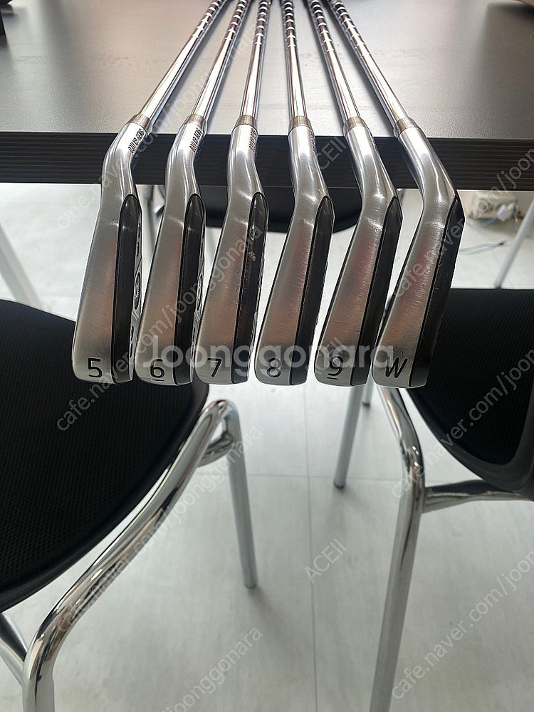 pxg 젠6 gen6 0311xp--0
