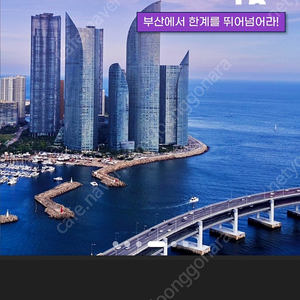 부산 나이트워크 2장 일괄 양도