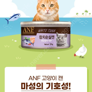 anf고양이캔 젤리타입