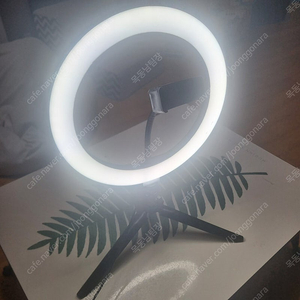 알파믹 RL120 Led 링라이트