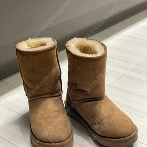 정품) 미국 어그 UGG 220 숏 체스트넛 US5 EU36 UK3